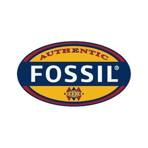 Fossil